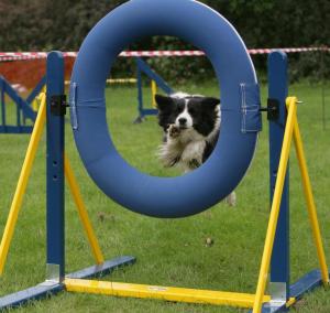 Delta doing agility