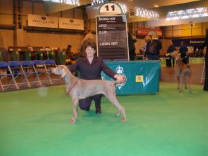 Winning Special Puppy Bitch at crufts 2006