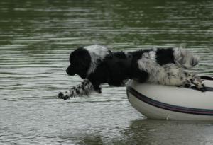 Hudson to the rescue 