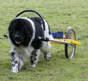 Hudson carting