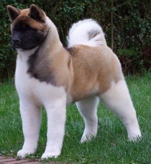 Tyra 5 months