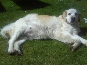and when she was pregnant, huff sigh!