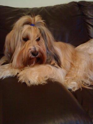QUEEN BUFFY
