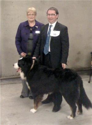 BENTLEY (KINELARTY BEN BOY) GETTING JUNIOR CH