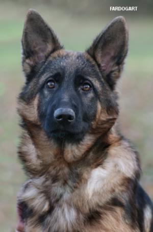 Head Study at 5 months old