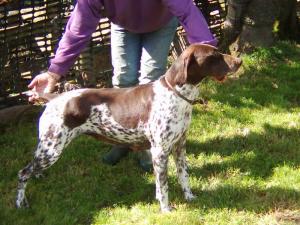 Angiedale Ottilia Onyx
