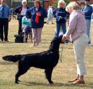 Southampton Show Group 3 Win
