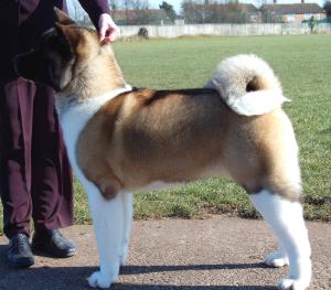 Rigsby 7 months