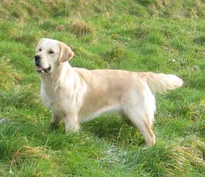 Tilly posing 1 yrs old