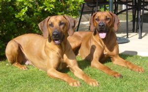 Mum Kobie (left) with daughter Dolly (right)