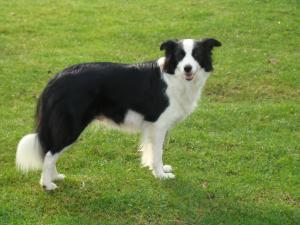 Bonnie at 26 months
