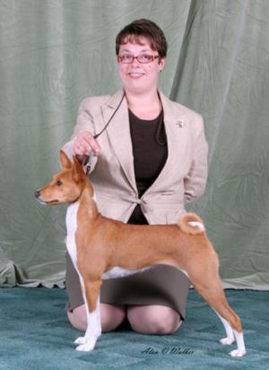 Northern Basenji Society July 2007