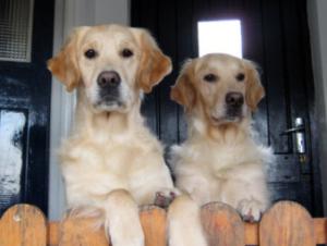 Ellie with her mother Skye