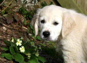 Shiloh - Butter wouldn't melt in my mouth