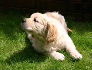 Kelsey, Poised, Pensive and Pretty