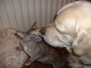 Gemma and friend Sophie