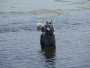 Solo Cooling Down