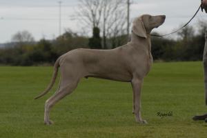 Riley at 8 months