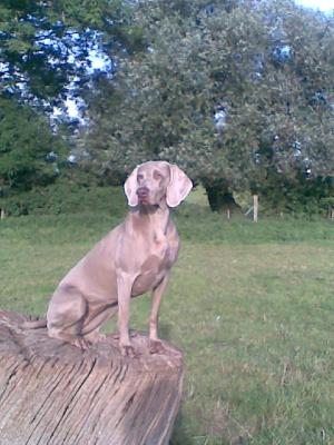 Anna, in her 'Hay Day' years.