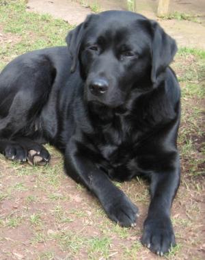 Jess March 2011