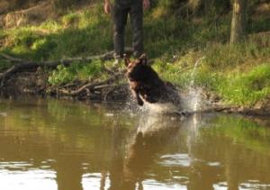My favourite Pastime!
