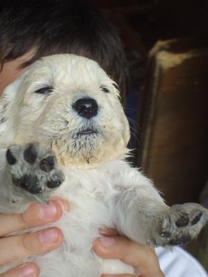 One of our tubby boys after his lunch!