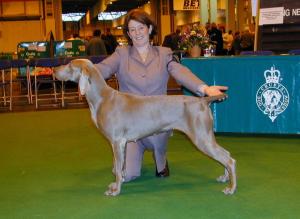 Winning Veteran Bitch at Crufts 2002