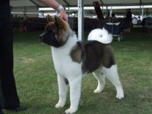 Teren 6 Months