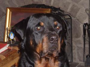 Auld Fritz