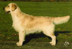 Ty at 11 months