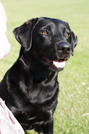 My Beautiful Elsa