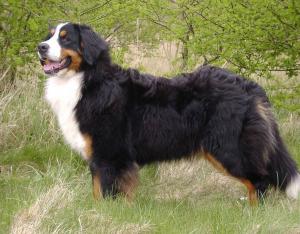 Uschi - 13 months
