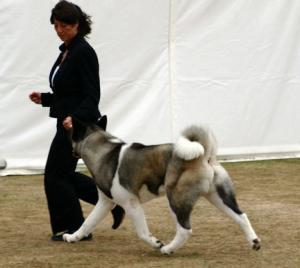 FALLON WINNING HER 2ND CC WINDSOR 2010