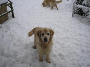 Flora - fun in the snow