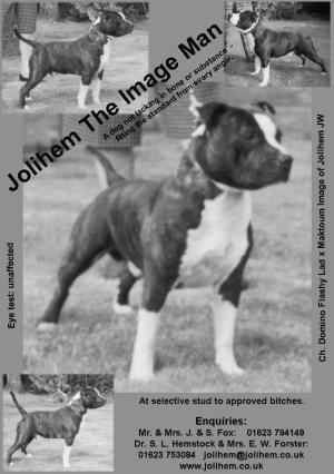 Bert - Jolihem The Image Man