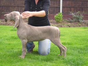 NAILAH 14 weeks