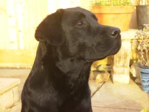Jamie coming to visit us at 10 months of age