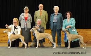 Best Puppy at Whippet Stars 2008 (far right)