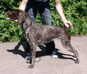 Rolo Standing