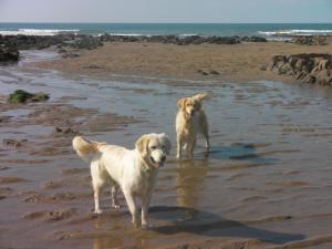 Baby and her mum at the beach