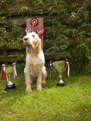 Best Puppy in Show - ISCGB Champ Show June 2010 