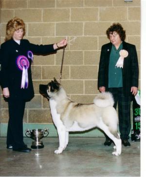 SHYLLAR TRENDI NOSE TO TAIL JW Sh CM