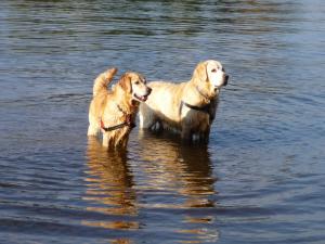 Murphy with daughter Millie