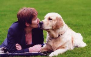Murphy and Me