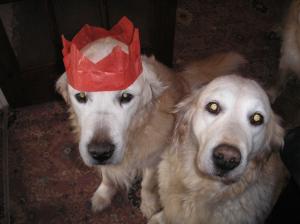 Daisy at Callum's 14 birthday party.