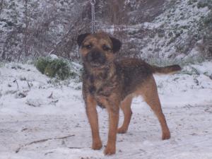 Murphy