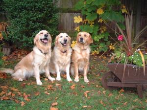 Amba (center) with her daughters Meg and Ruby .