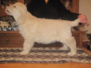 Zak at 7 weeks