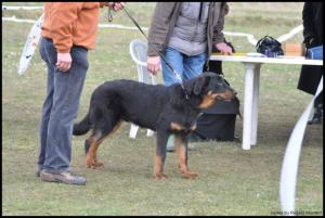 Jupiler aged 5 months