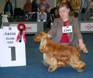 Blake Europa Champion handled by my friend Maja
